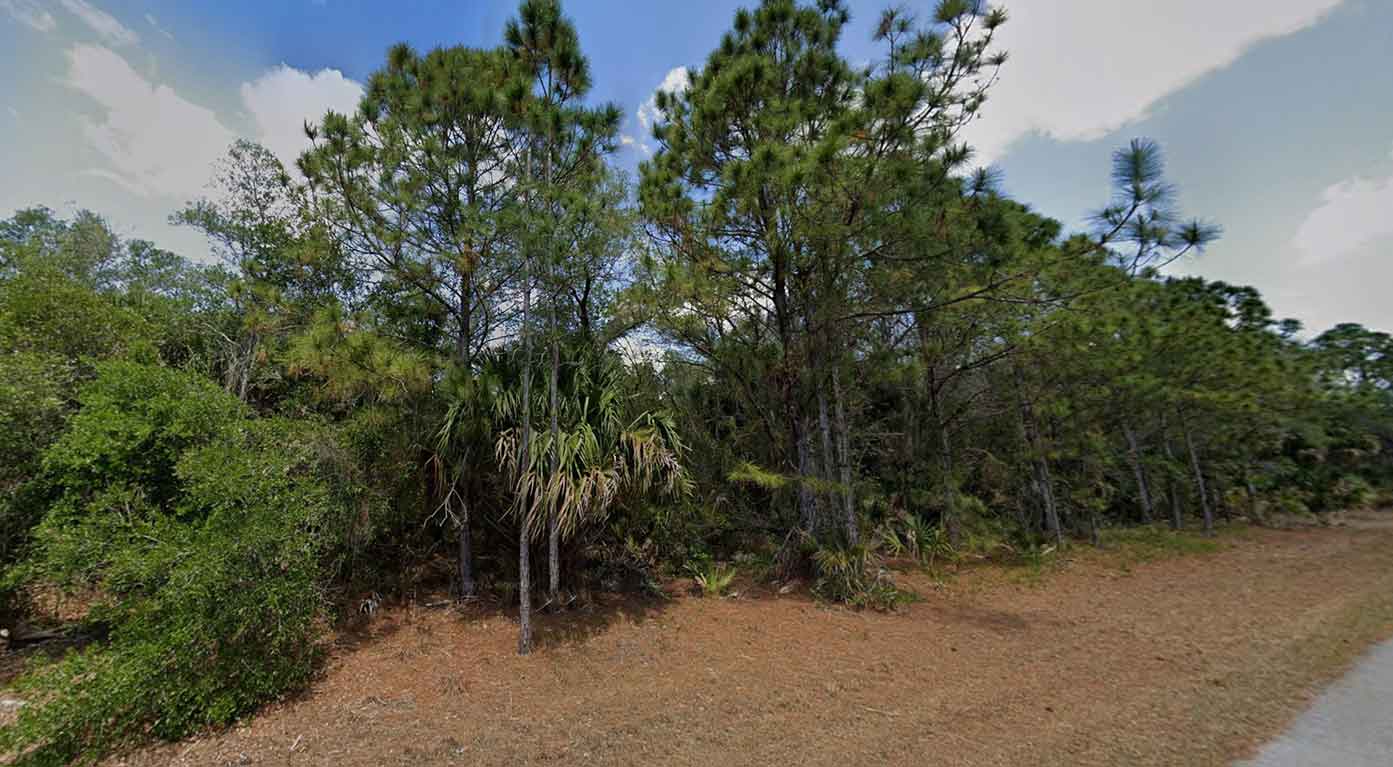 Secluded wooded lot in Port Charlotte FL for sale, ideal for building your dream home or investment.