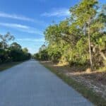 Vacant lot with lush greenery and clear blue sky, ideal for building your dream home.