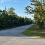 Beautiful tree-lined road in Port Charlotte, ideal for homebuyers exploring real estate options.
