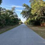 Serene neighborhood scene featuring a peaceful road lined with mature trees in Port Charlotte.